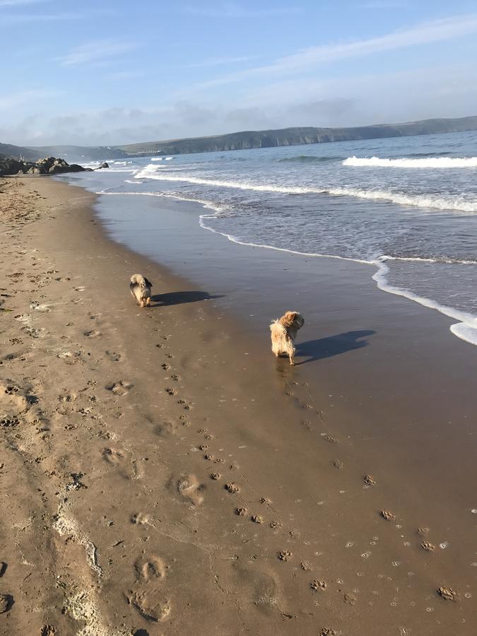 5, Sandleigh Apartment Woolacombe Kültér fotó
